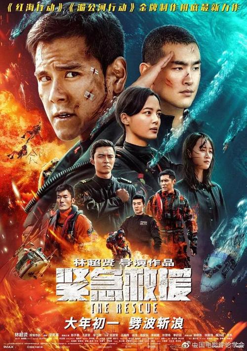 荷兰护照高仿制作
